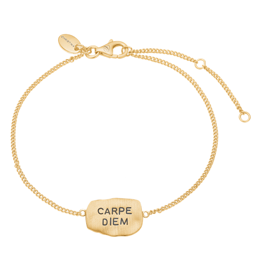 Carpe Diem - Christina Jewelry and Watches Forgyldt